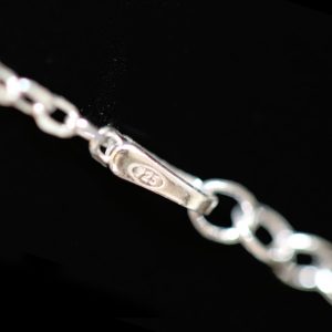 whatsapp image 2026 02 03 at 5.03.16 pm